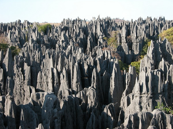 Tsingy de Bemaraha 